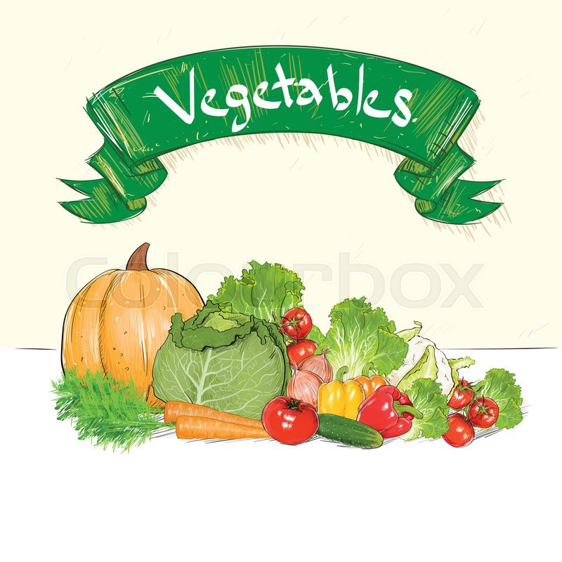 Vegetables Drawing Set Group With Text Stock Vector Colourbox
