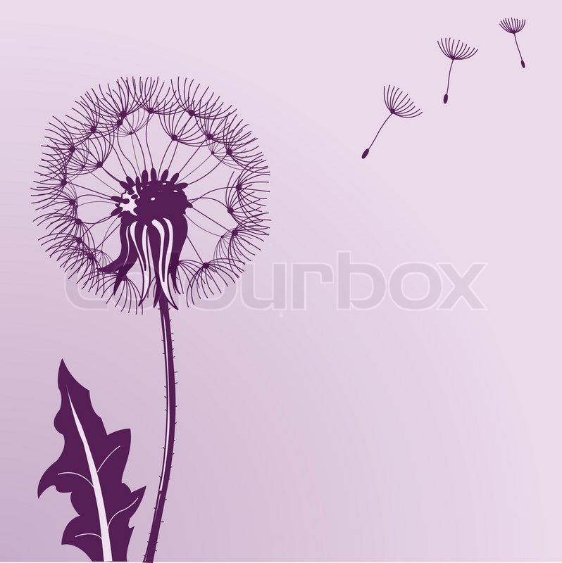 Vektor, pusteblume, löwenzahn | Vektorgrafik | Colourbox