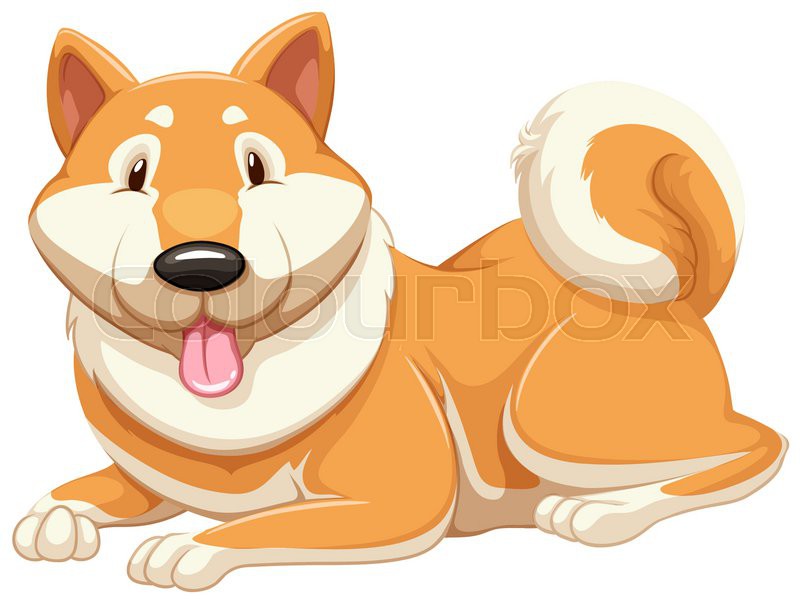 Adorable orange dog on a white Stock vector Colourbox