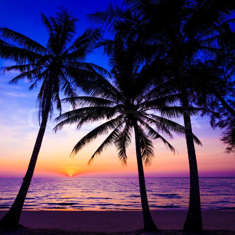 tropical sunset pictures