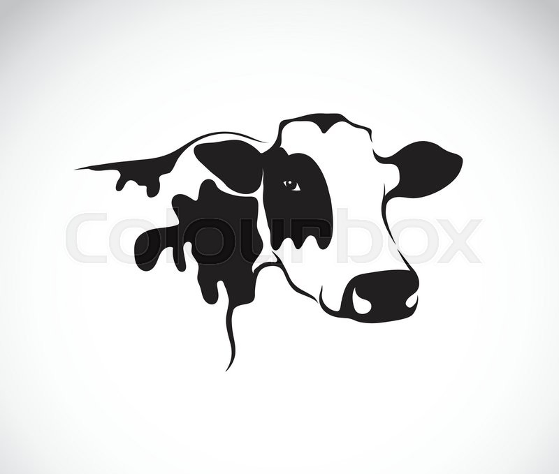Vector image of an cow on white | Stock vector | Colourbox
