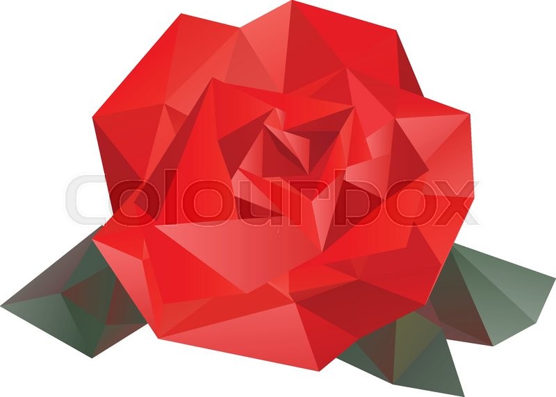 Geometric vector rose made from Stock vector Colourbox