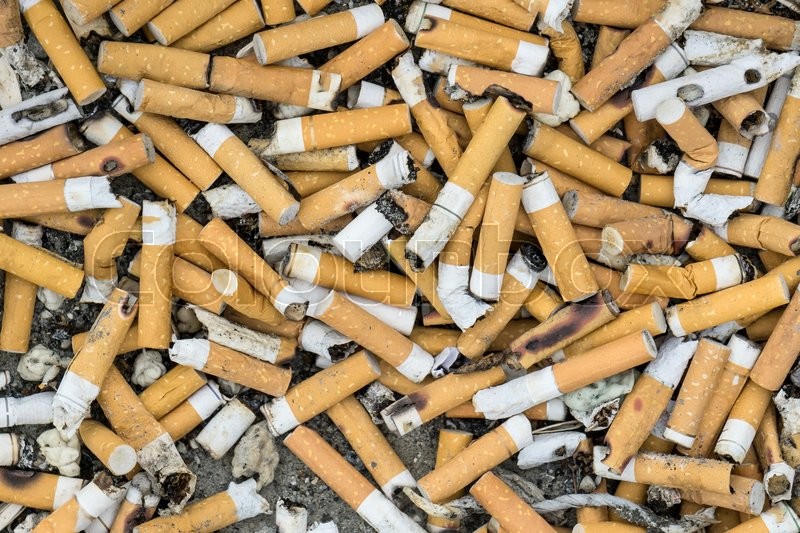 Lots of cigarette butts in a large ash Stock image Colourbox