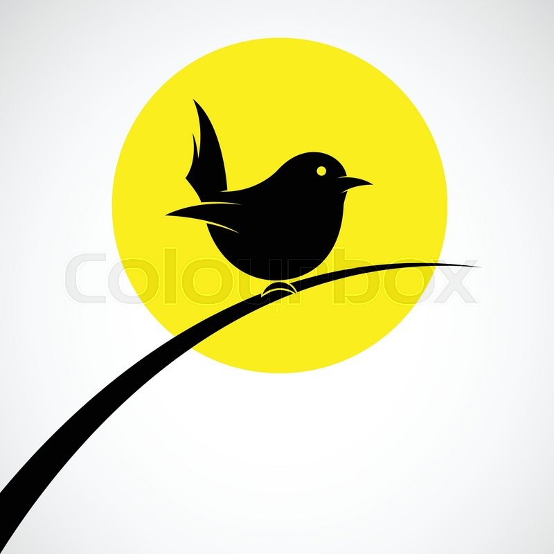 Vector image of an birds perched on Stock vector Colourbox