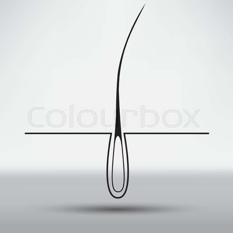Hair Follicle Treatment Design Stock Vector Colourbox