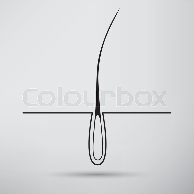 Hair Follicle Treatment Design Stock Vector Colourbox