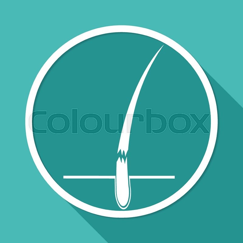 Icon Hair Follicle Treatment On White Circle With A Long Shadow