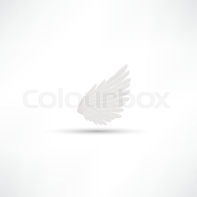 Vector isolated white wing of a bird | Stock vector | Colourbox