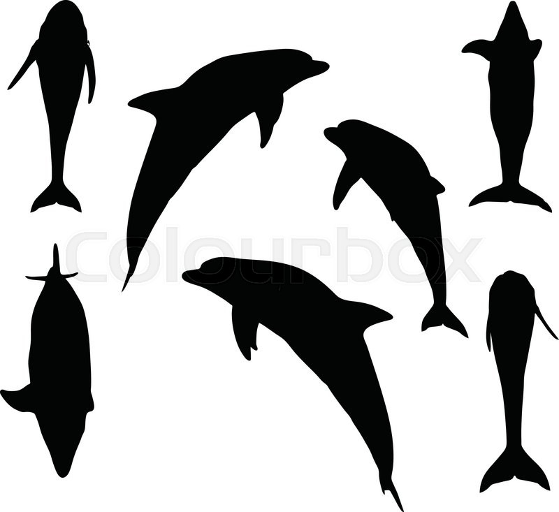 vector image dolphin silhouette stock vector colourbox