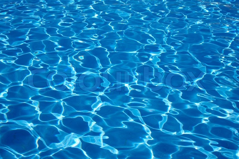 The 12 Best Types Of Inground Swimming Pools Inground Pool Designs