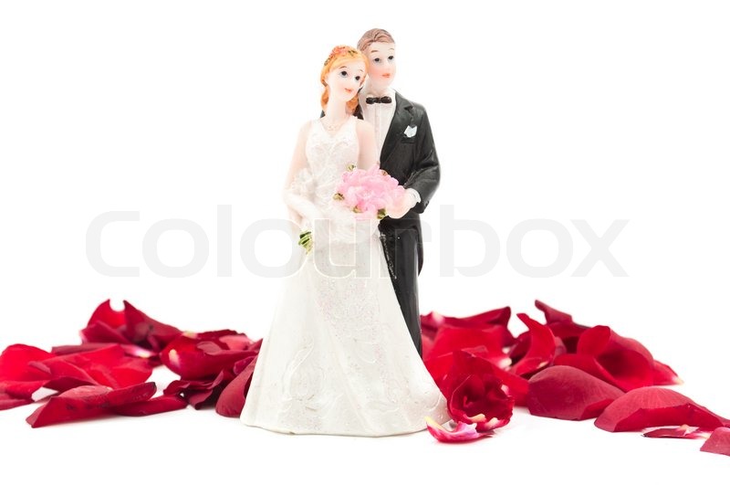 Bride And Groom With Rose Petals On Stock Image Colourbox Bride And Groom With Rose Petals On Stock Image Colourbox