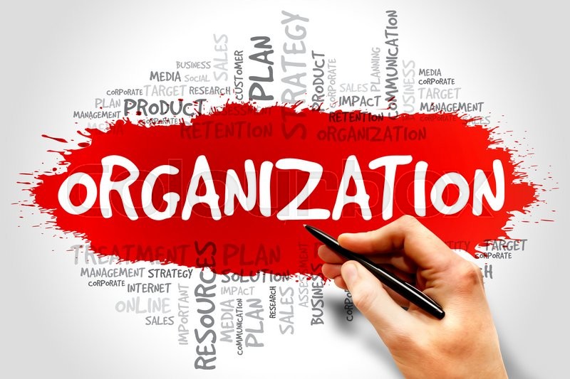 Why Management Is Essential For Organization