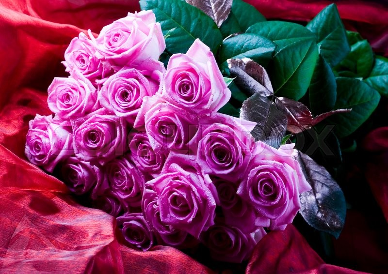 Natural Colorful Roses Natural Colorful Rose