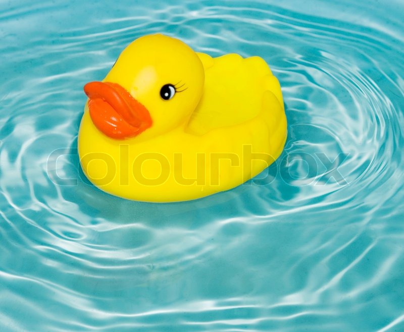 rubber duck on water