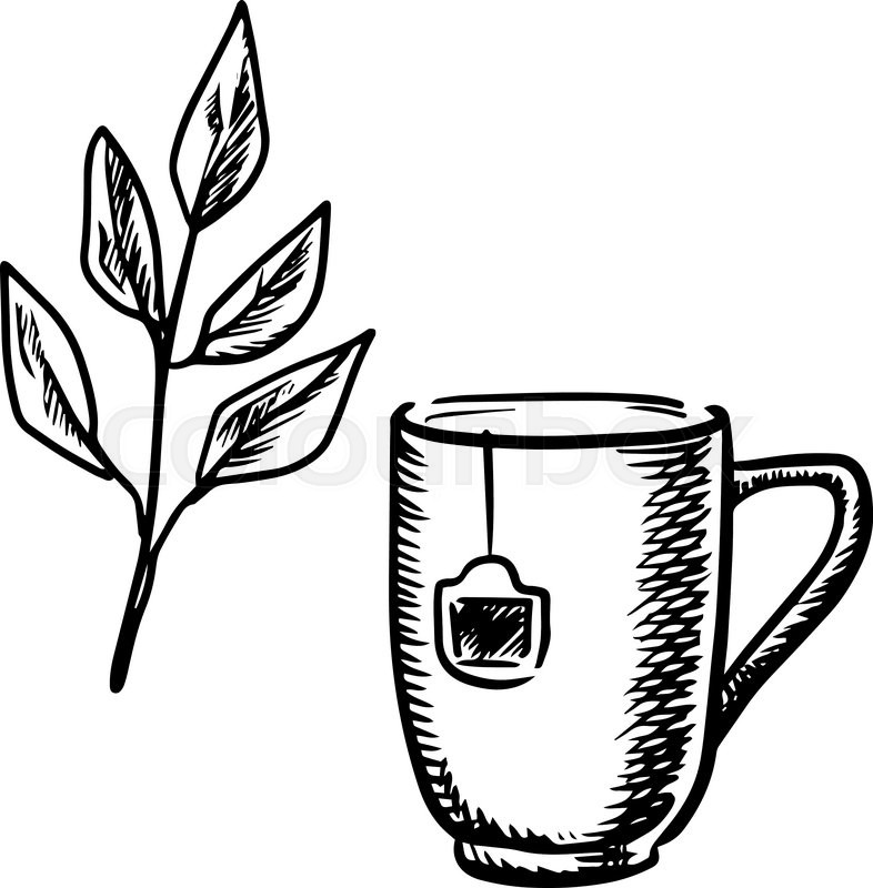 Sketch Mug Of Tea Made With A Teabag Twig Fresh Leaves Isolated On White Sketch Mug Of Tea Made With A Teabag Twig Fresh Leaves Isolated On White