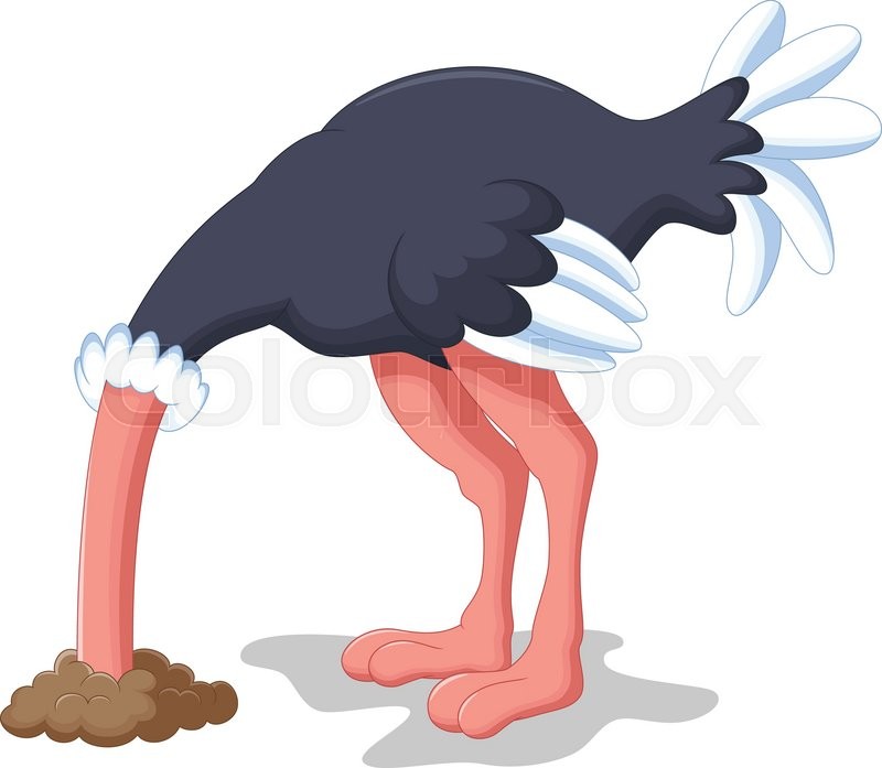 Ostrich hides its head in the ground Stock Vector Colourbox