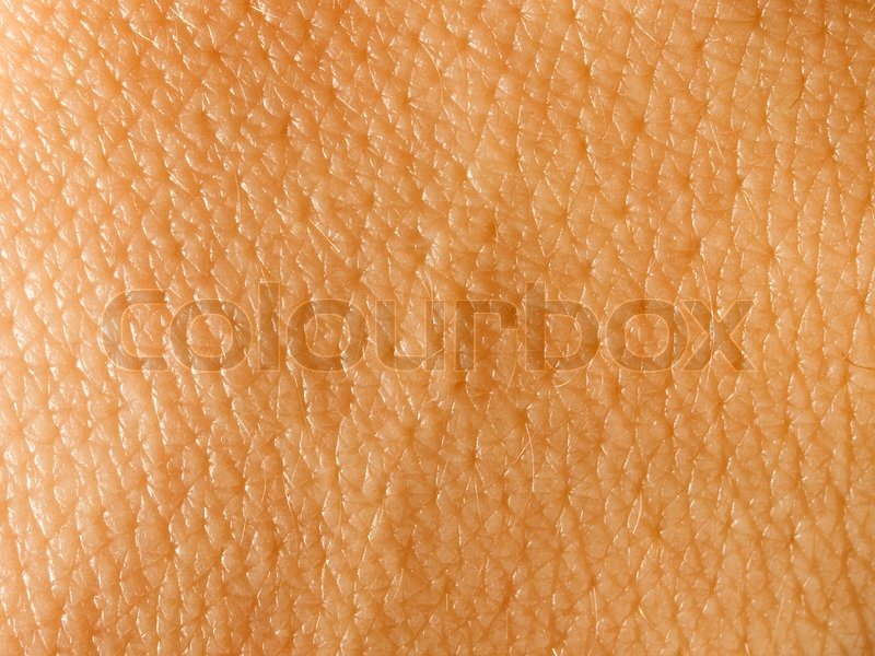 skin background stock photo 92353336 skin closeup texture background stock photo colourbox skin background stock photo 92353336 skin closeup texture background stock photo colourbox