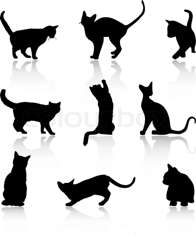 Kunst, katzenbaby, objekt | Vektorgrafik | Colourbox