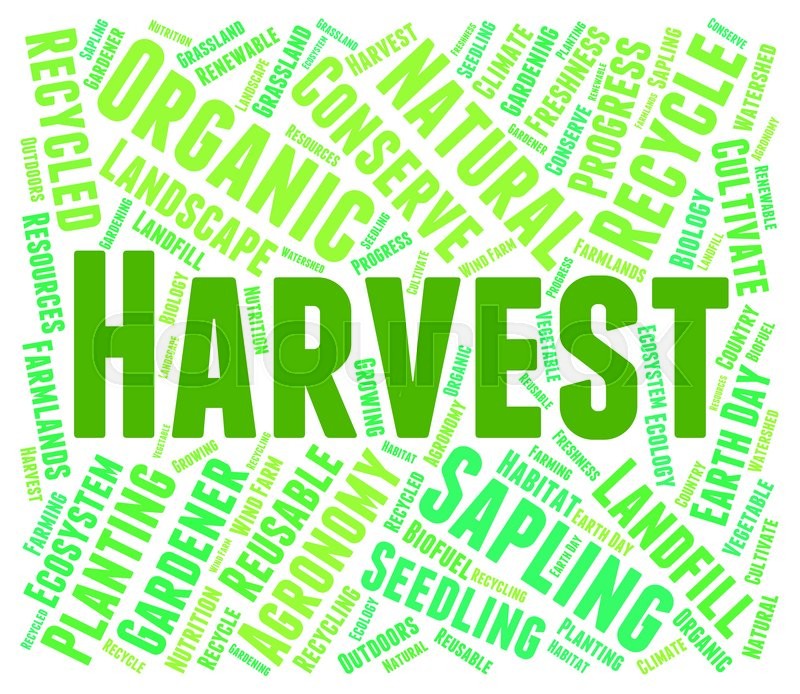 Harvest Word Means Produce Grain And Harvests Stock Photo Colourbox