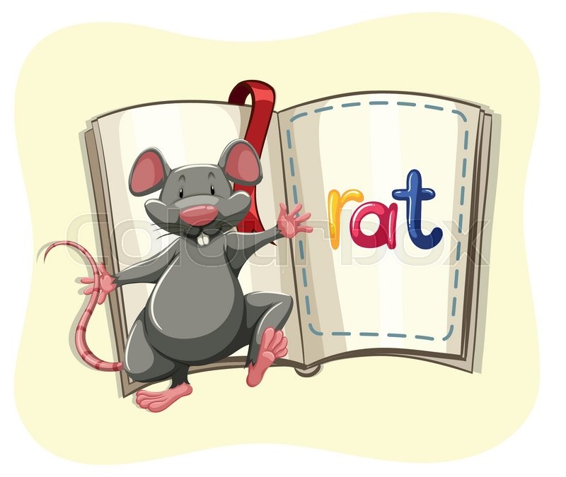 Gray rat and a book illustration Stock vector Colourbox