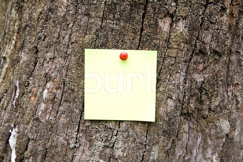 Blank Note On The Tree. Ready for your ... | Stock image | Colourbox