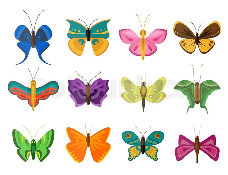 Different Types Of Butterflies And Their Meanings Sistem