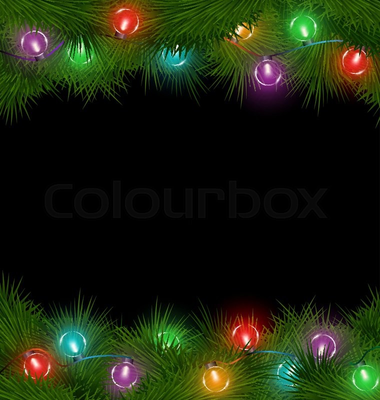 multicolored led christmas lights on pine branches isolated on black