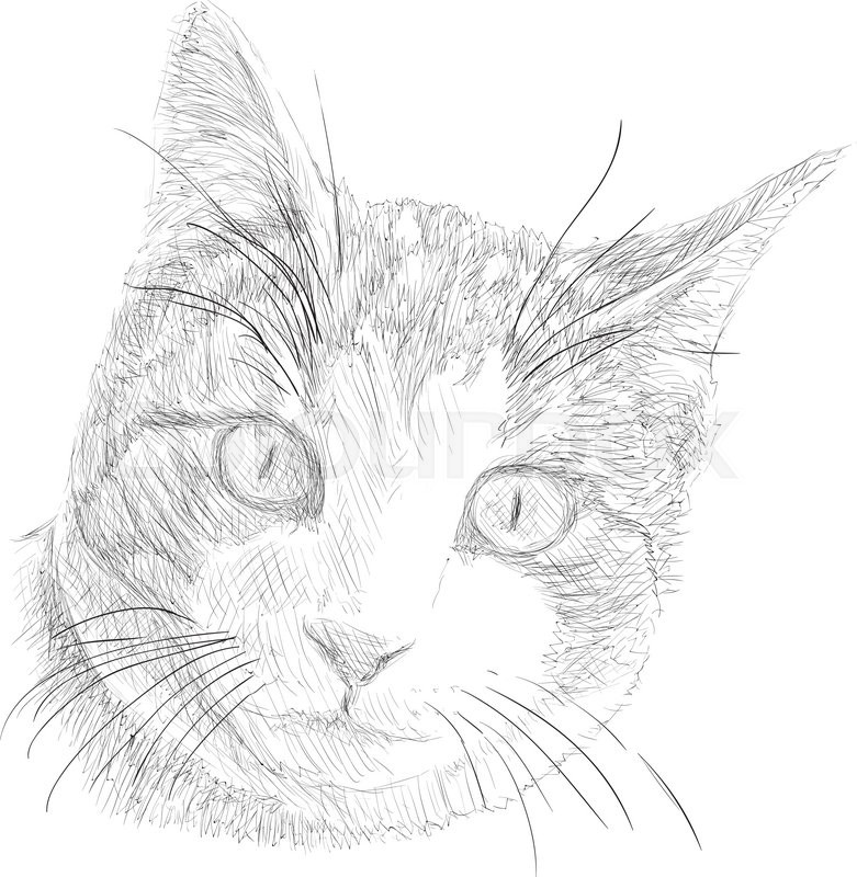 Jungtier, kritzelei, gekritzel | Vektorgrafik | Colourbox