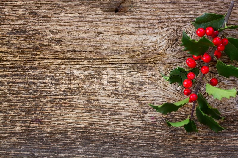 Holly branch with fresh green leaves and red berries on wooden
