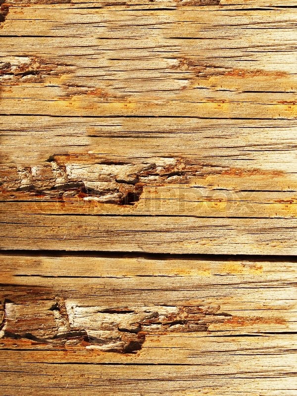 High resolution natural wood grain | Stock image | Colourbox