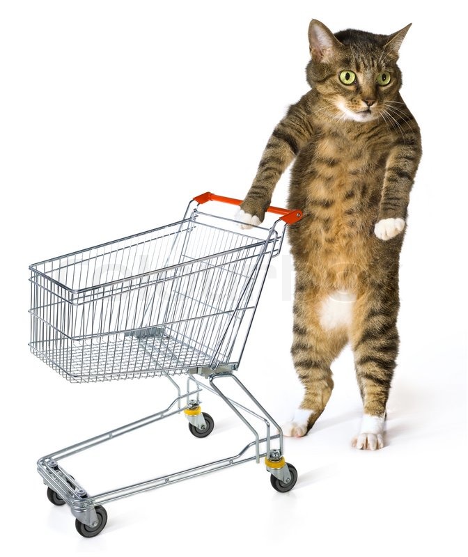 Consumer cat with shopping cart on Stock image Colourbox