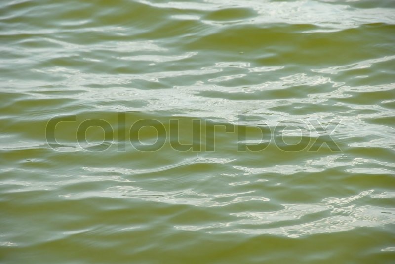 Green lake water surface with light Stock image Colourbox
