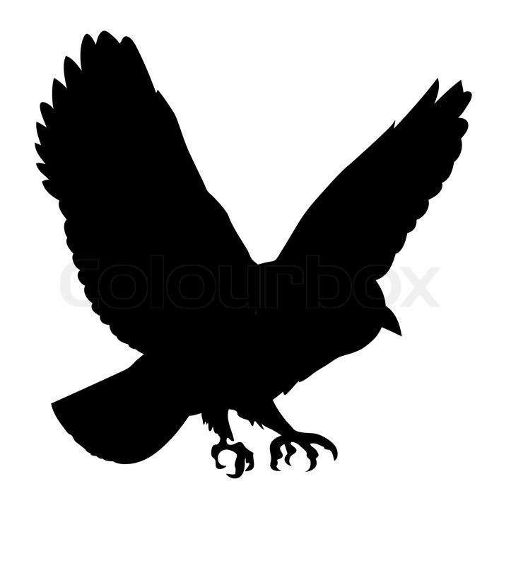 Vektor Silhouette des gefräßigen Vogel auf weißem Hintergrund