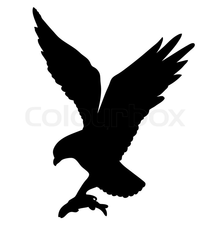 Vector Drawing Of The Ravenous Bird On Stock Vector Colourbox