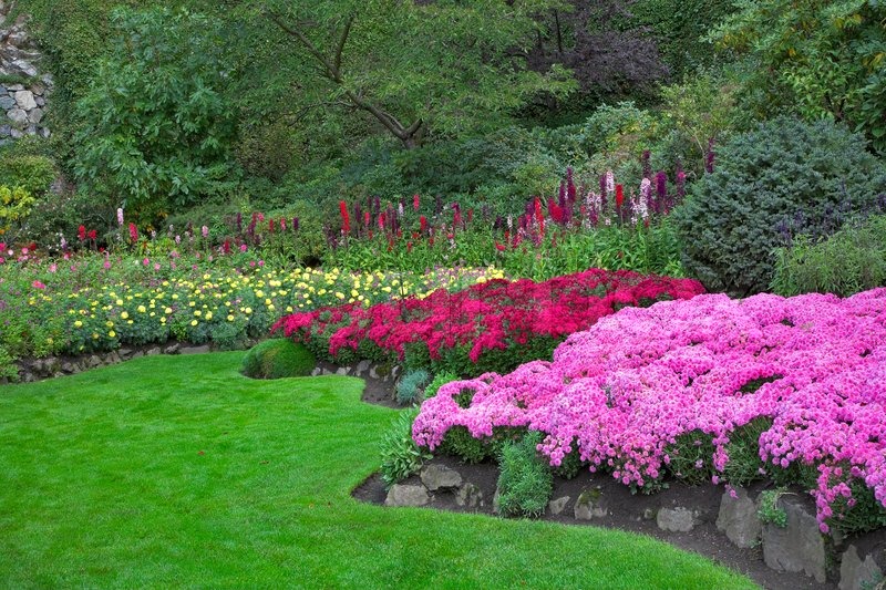 Fænomenalt smukke og maleriske have til gåture og tilsyn med ... Have blomster billeder