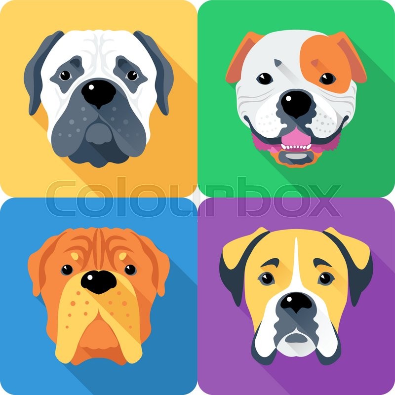 icon bullmastiffs