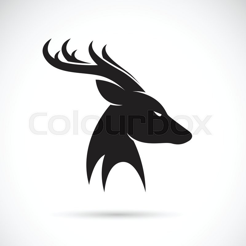Vector images of deer head on a white | Stock vector | Colourbox