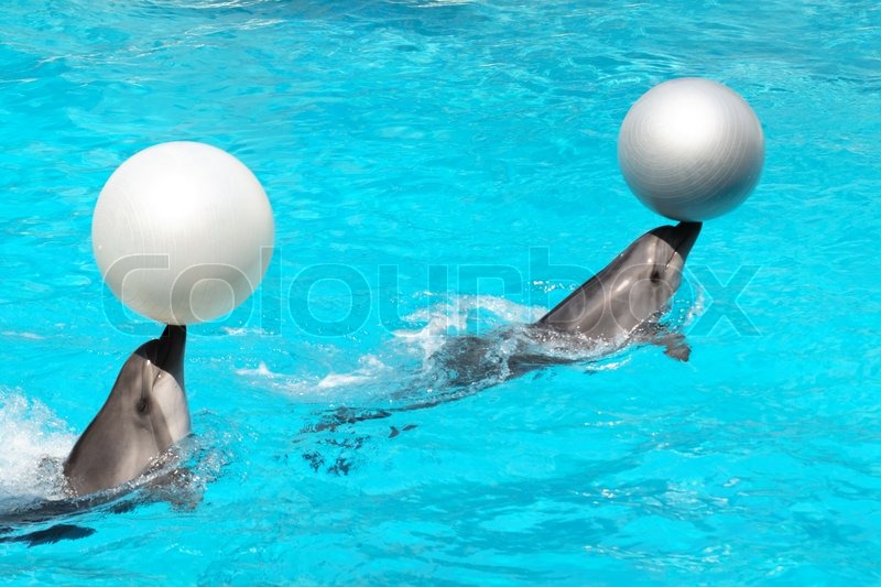 Delphine Spiele Delphine Spiele