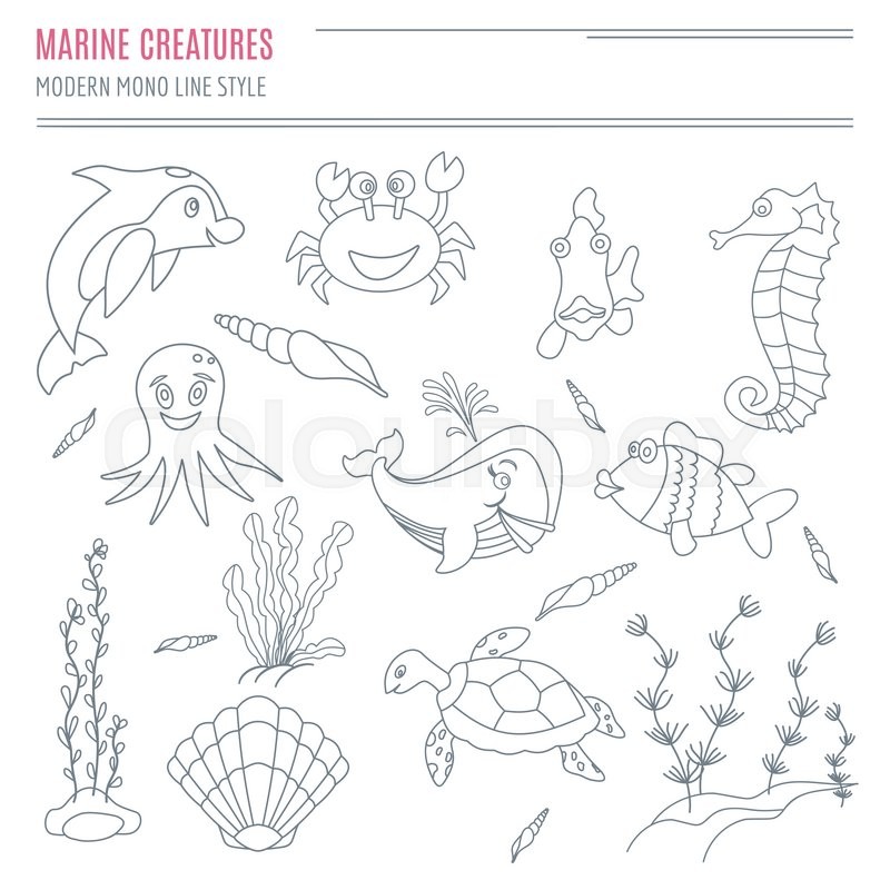 Collection of hand drawn sea creatures | Stock vector | Colourbox