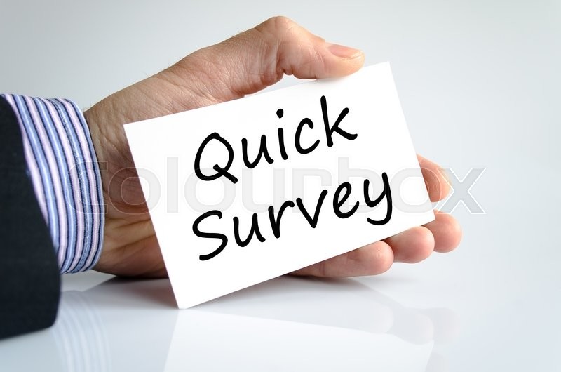 quick survey text concept isolated over white background stock