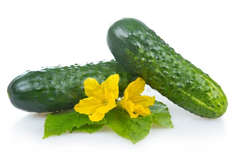 Green Gurke Gemüse mit Blättern und Stock Bild Colourbox