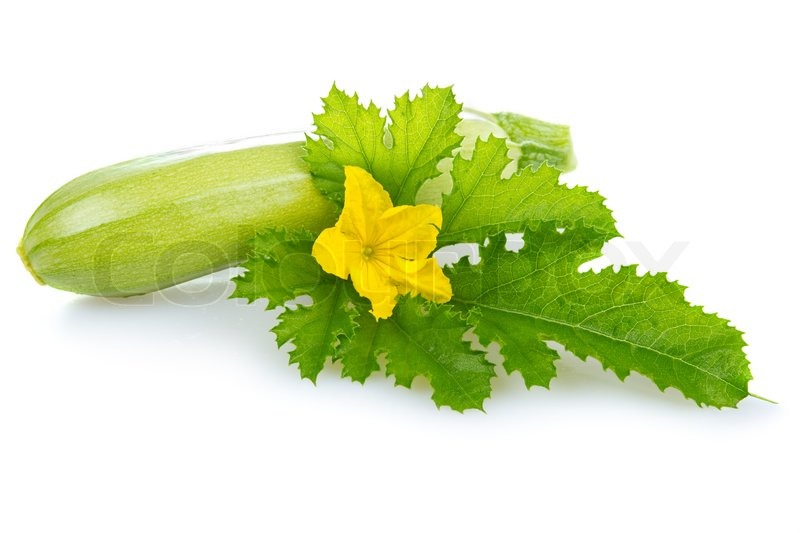 vegetable leaf