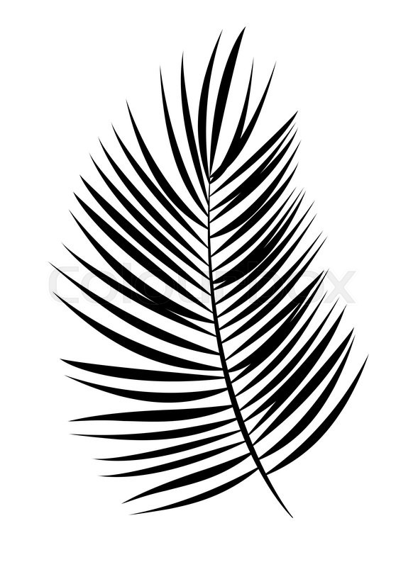 Printable Palm Leaf Black And White : Palm tree leaves clipart black