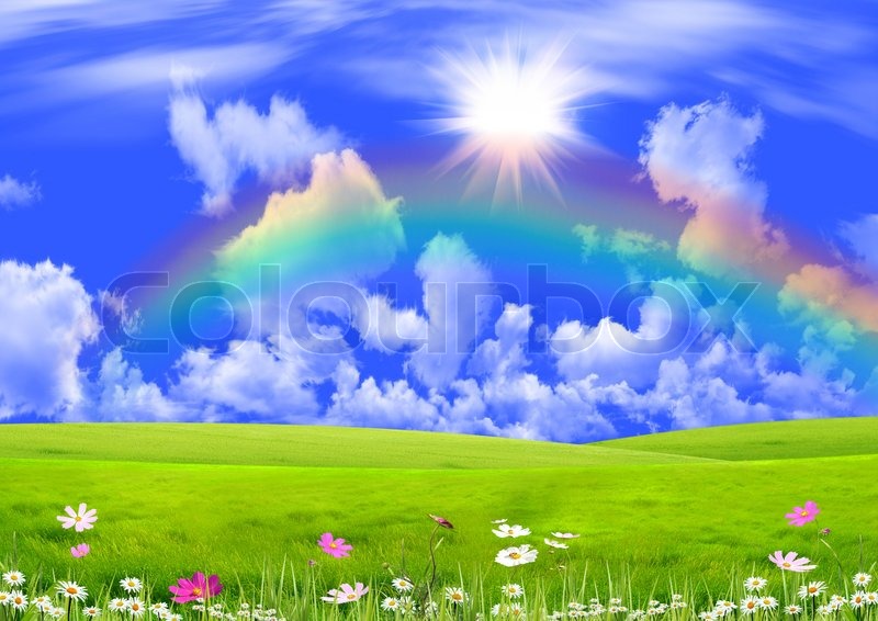 Sunshine Property Management Sunshine Property Management