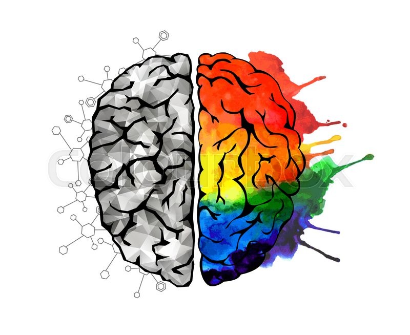 Creative concept of the human brain. | Stock image | Colourbox