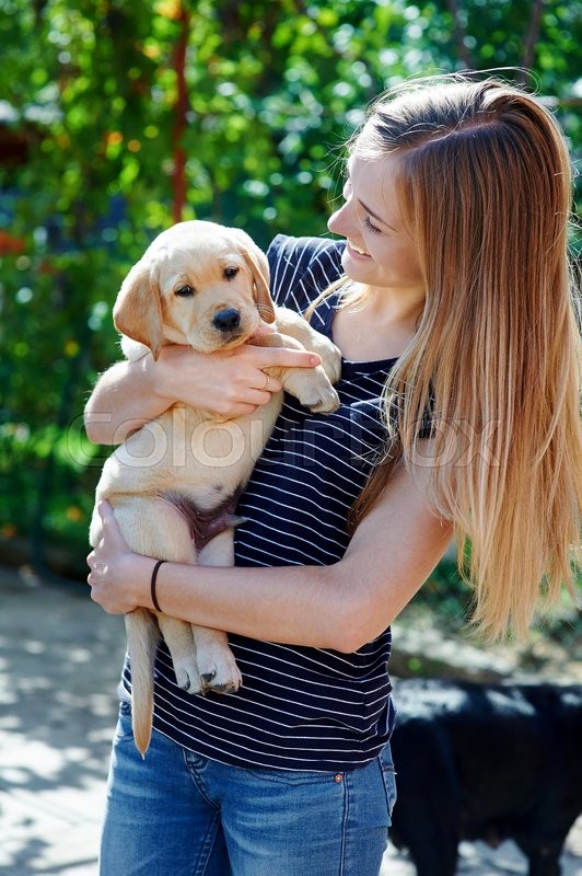 How To Hold A Labrador Puppy