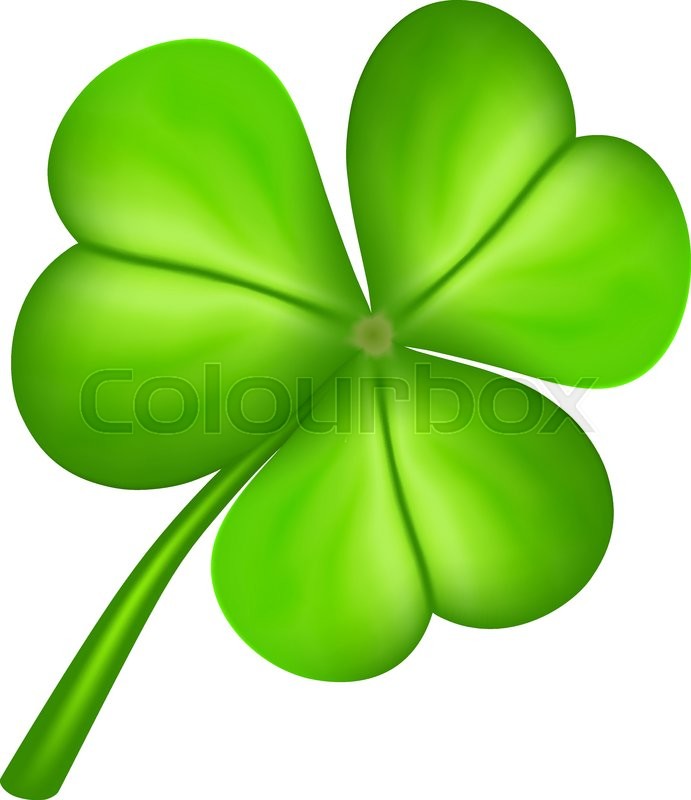 Three leaf clover isolated on white. | Stock vector | Colourbox