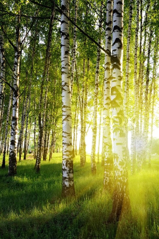 800px_COLOURBOX1791930