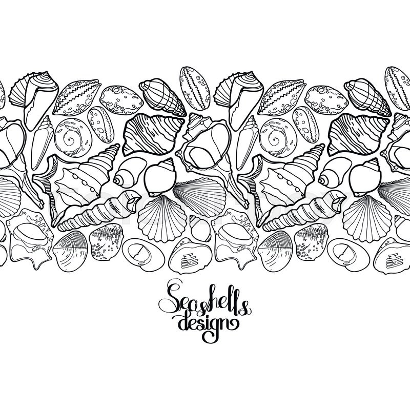 Collection Of Seashells Drawn In Line Art Style On White Background Ocean Endless Vector Border Coloring Page Design