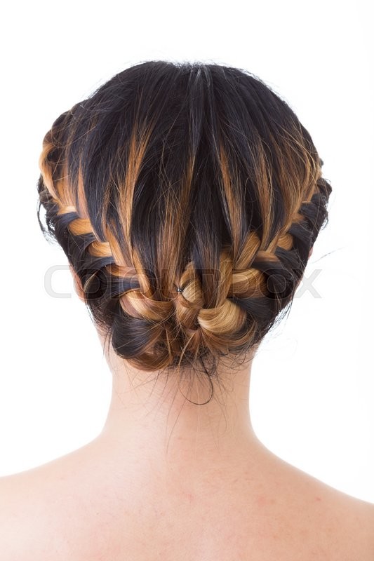 Long Hair Braid Style Isolated On White Stock Image Colourbox